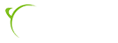 systronic